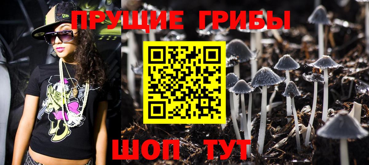 Галлюциногенные грибы Psilocybine cubensis Пыть-Ях
